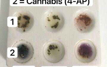 Reagent testing cannabis