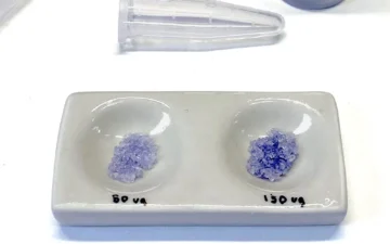 LSD potency test