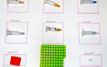 lsd-geltab-ehrlich-hofmann-plyny