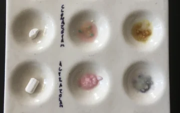 Jak sprawdzić alprazolam, bromazepam i klonazepam